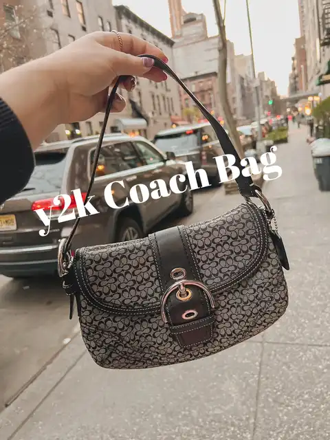 Coach Bags' Fall from Grace Amid Tapestry Slump