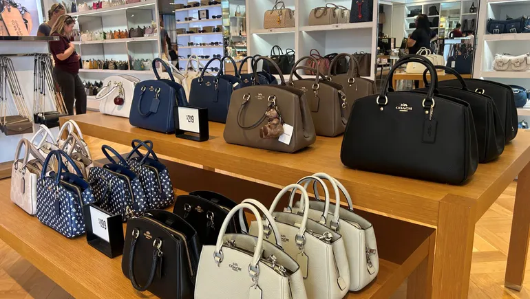 Coach Bags' Fall from Grace Amid Tapestry Slump - collectible valuation image